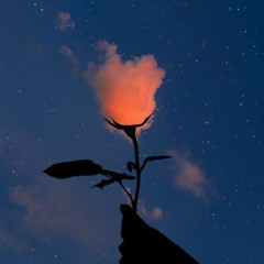 You'll Never Know -  Đinh Trình Hâm, Lưu Diệu Văn, Nghiêm Hạo Tường TNT时代少年团