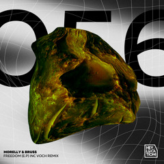 Freedom (Voch Remix)