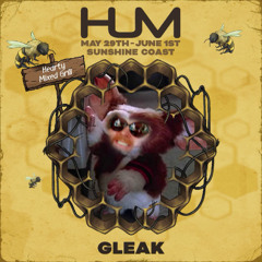 HUMdingers @ Hex Sound System Gathering
