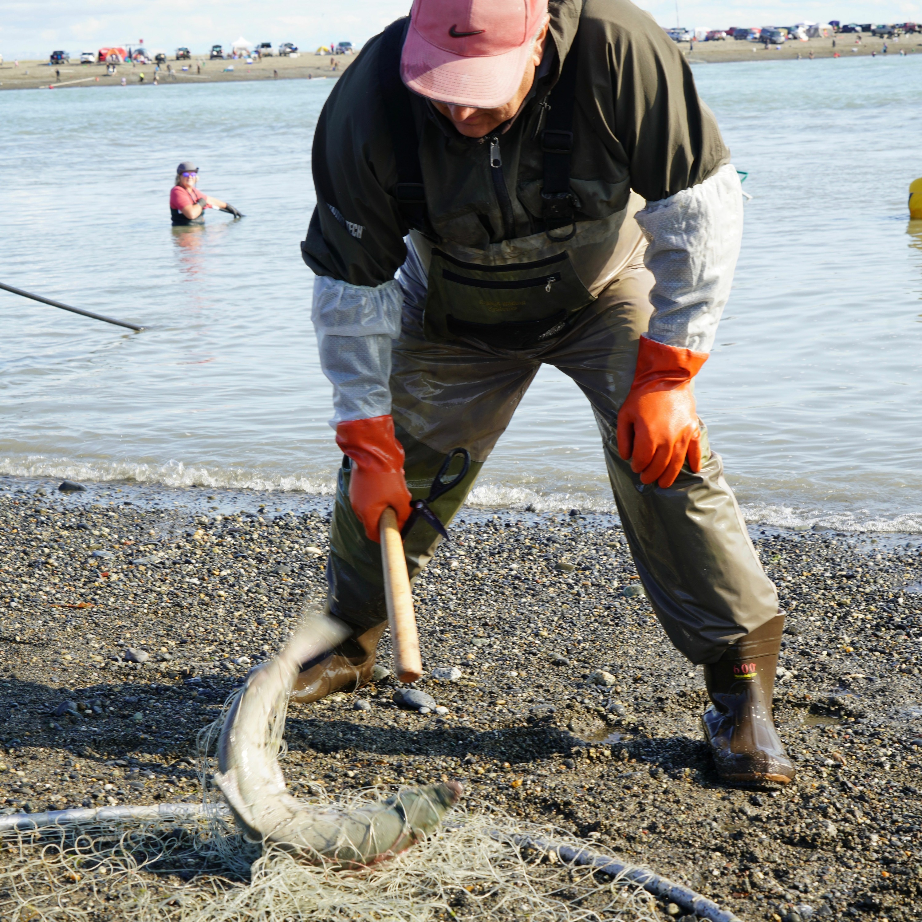 Social FISHtancing