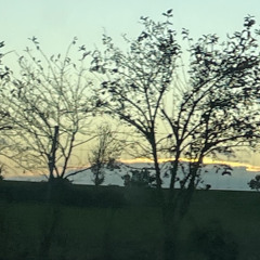 $20 Chain [prod. R3DQX]