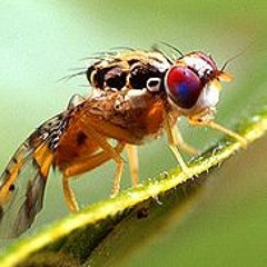 HK_Calm-Steady_tracks_03