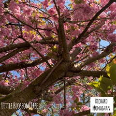 Little Blossom Tree