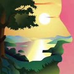 Numan Nature