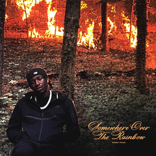 Stream Peace Of Mind (feat. Wale & J'TA) by Nino Paid | Listen