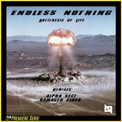 PREMIERE : Endless Nothing - Antithesis Of Life [Nu Body Records]