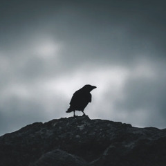 Raven, Raven by Cherie Call