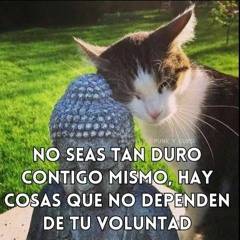 ntgnsdecmrsodvmtr_14_08demo