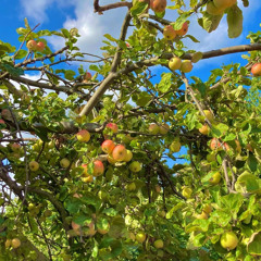 on my own (Prod. Lee)