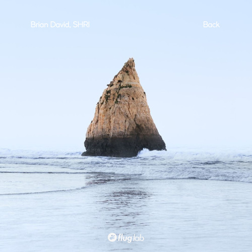 Premiere: Brian David & SHRI - Back [Flug Lab]