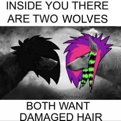 on that sparkledog shit 'til the day i die /lyr