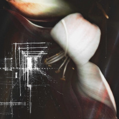 future & past (Prod DreWhile)