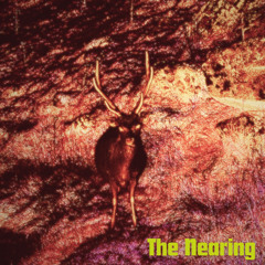 The Nearing