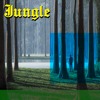 Tải video: Jungle