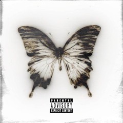 Butterfly Effect