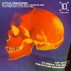 Soundcatcher [SV] - Little Creatures 018, Pt. I