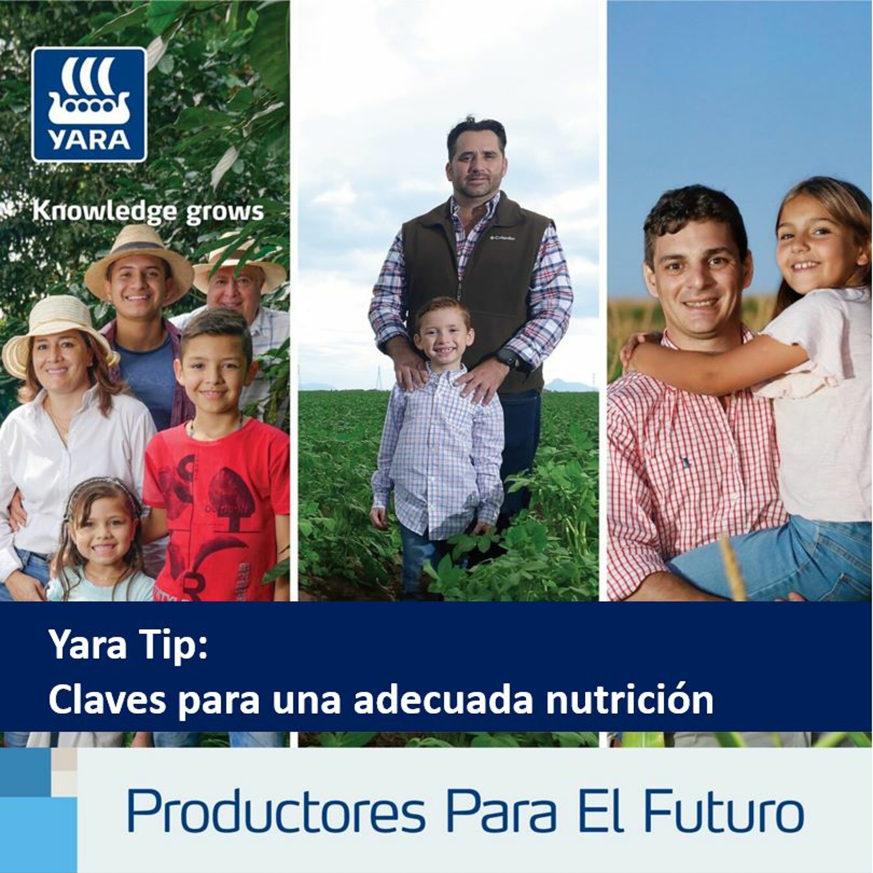 Productores Para El Futuro