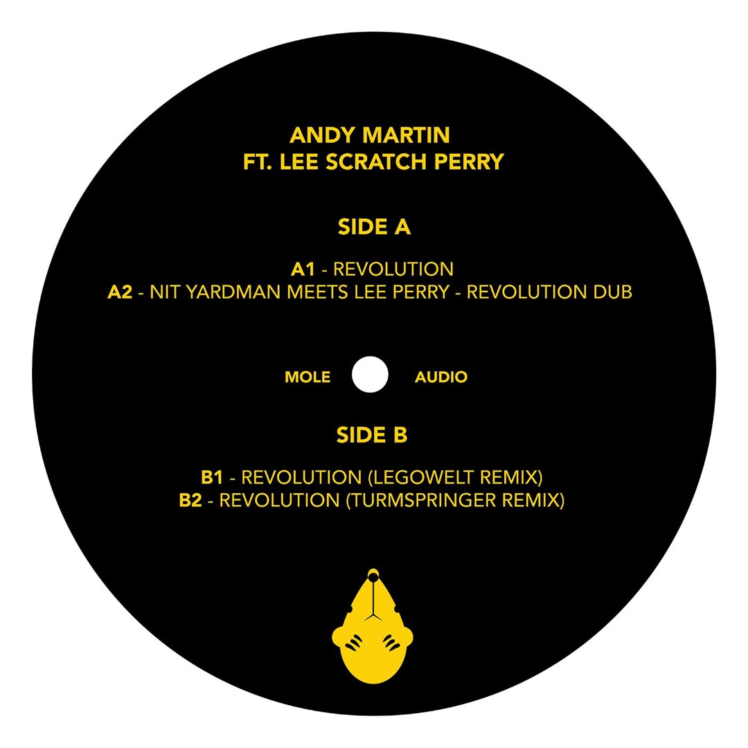 Andy Martin Ft. Lee Scratch Perry *  Revolution