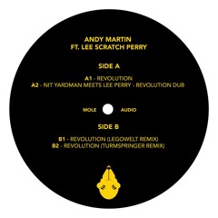 Andy Martin Ft. Lee Scratch Perry - Revolution
