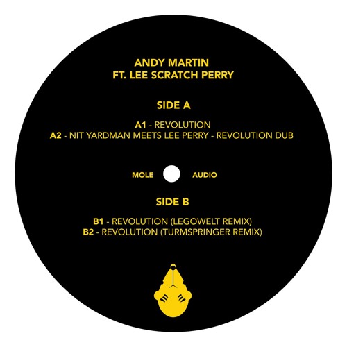 Andy Martin Ft. Lee Scratch Perry - Revolution