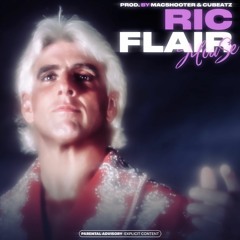 ric flair (macshooter49 cubeatz)