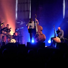 Tatihou part 2 : Ornithoswitch