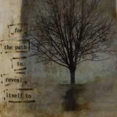 butterfly (reupload)