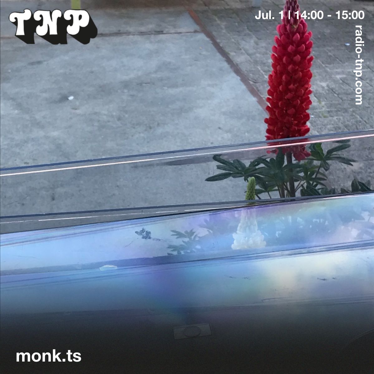 monk.ts