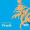 Campout Mix Series: Peach DJ mix artwork - Electronic music tracklist cover image
