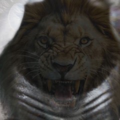 ZEEOWZA -swati Diss ( dzubula mdzidzi)