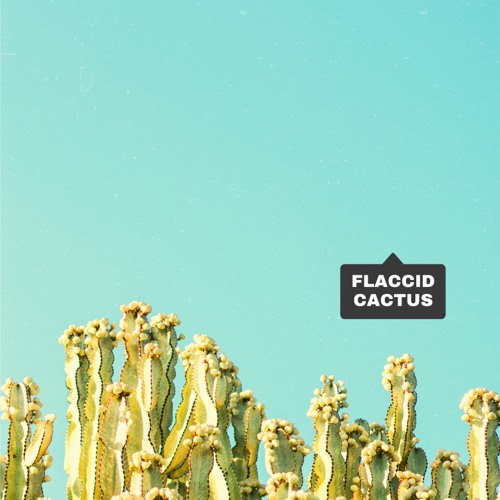 Flaccid Cactus