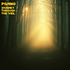 Journey Through The Veil