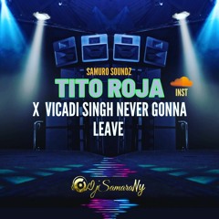 Vicadi Singh - Neva Gonna Leave (TiTO ROJA inst)Remix