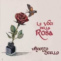 La rosa della vigna