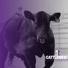 Cattlemen's Congress | Maine, Chi & Shorthorn