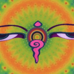 California Orange Experience.