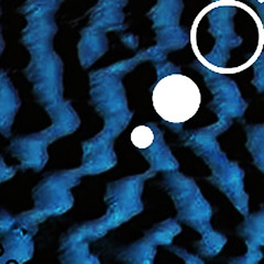 Keja - Desert Lent V2 - BF05