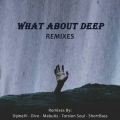 Chronatic Deep & BlaQ Afro-Kay - What About Deep (Torsion Soul Remix).mp3