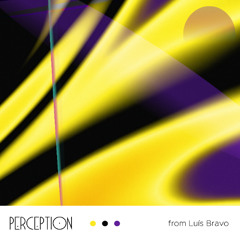 Perception from Luis Bravo