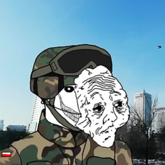 Zamki na piasku but youre a polish soldier defending Warsaw in 2025