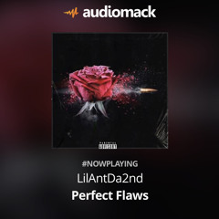Perfect Flaws | made on the Rapchat app (prod. by Young Dzone)
