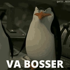 *e9 VA BOSSER  310821