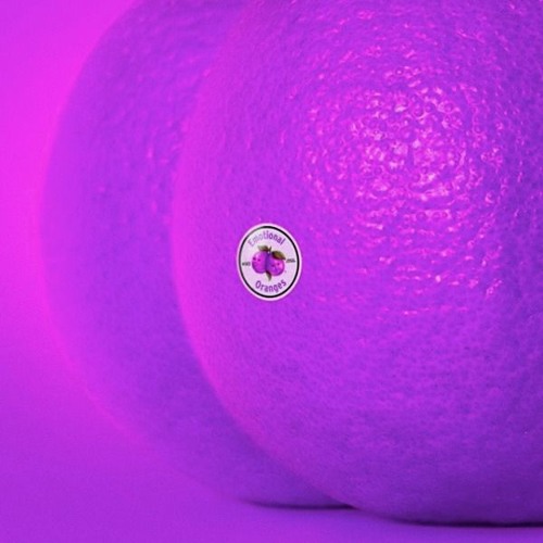 Emotional Oranges - West Cost Love (Chopped And Screwdrivered)