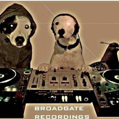 dogjy disco demo
