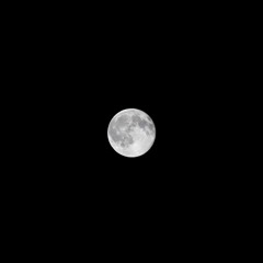 here comes the moon