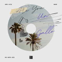 Are you un Gallo (Hay Un Gallo)