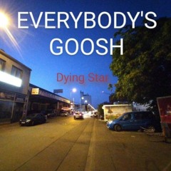EVERYBODY'S GOOSH - Dying Star.mp3