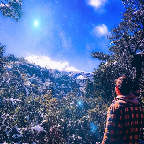 Dreaming Of Miracles