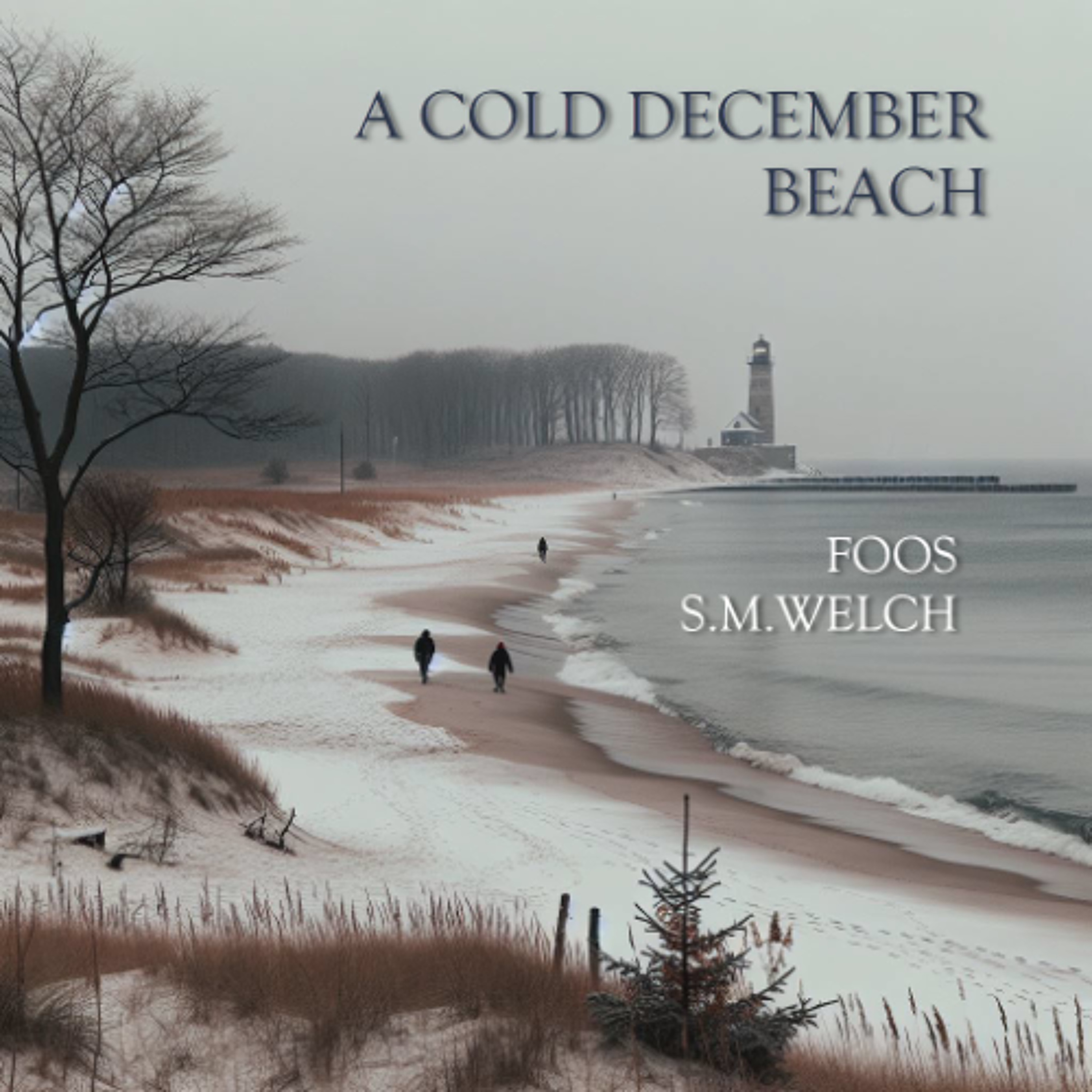 A Cold December Beach (Final Mix) episode artwork