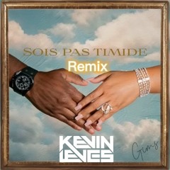 Gims - Sois Pas Timide (KEVIN LEVES Remix)